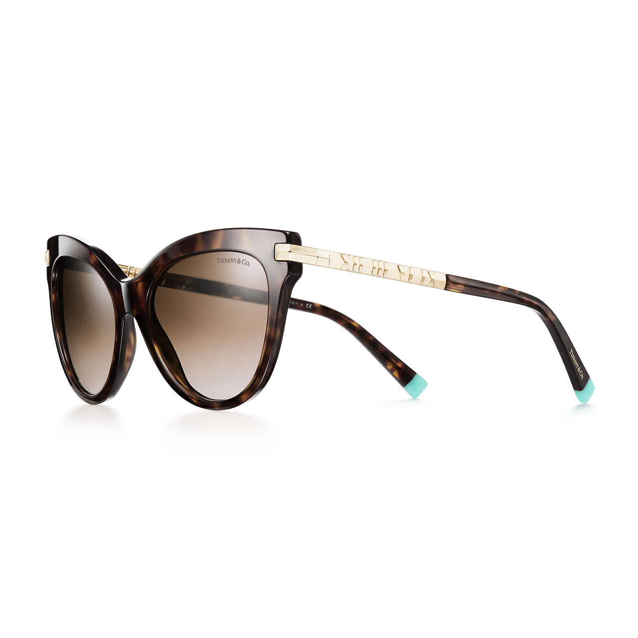Cat Eye Sunglasses in Tortoise Acetate with Pale Gold-coloured Metal Accents