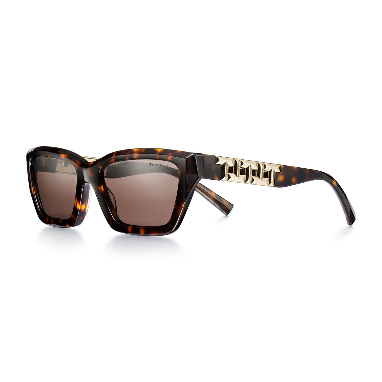 True Sunglasses in Tortoise Acetate with Light Brown Lenses
