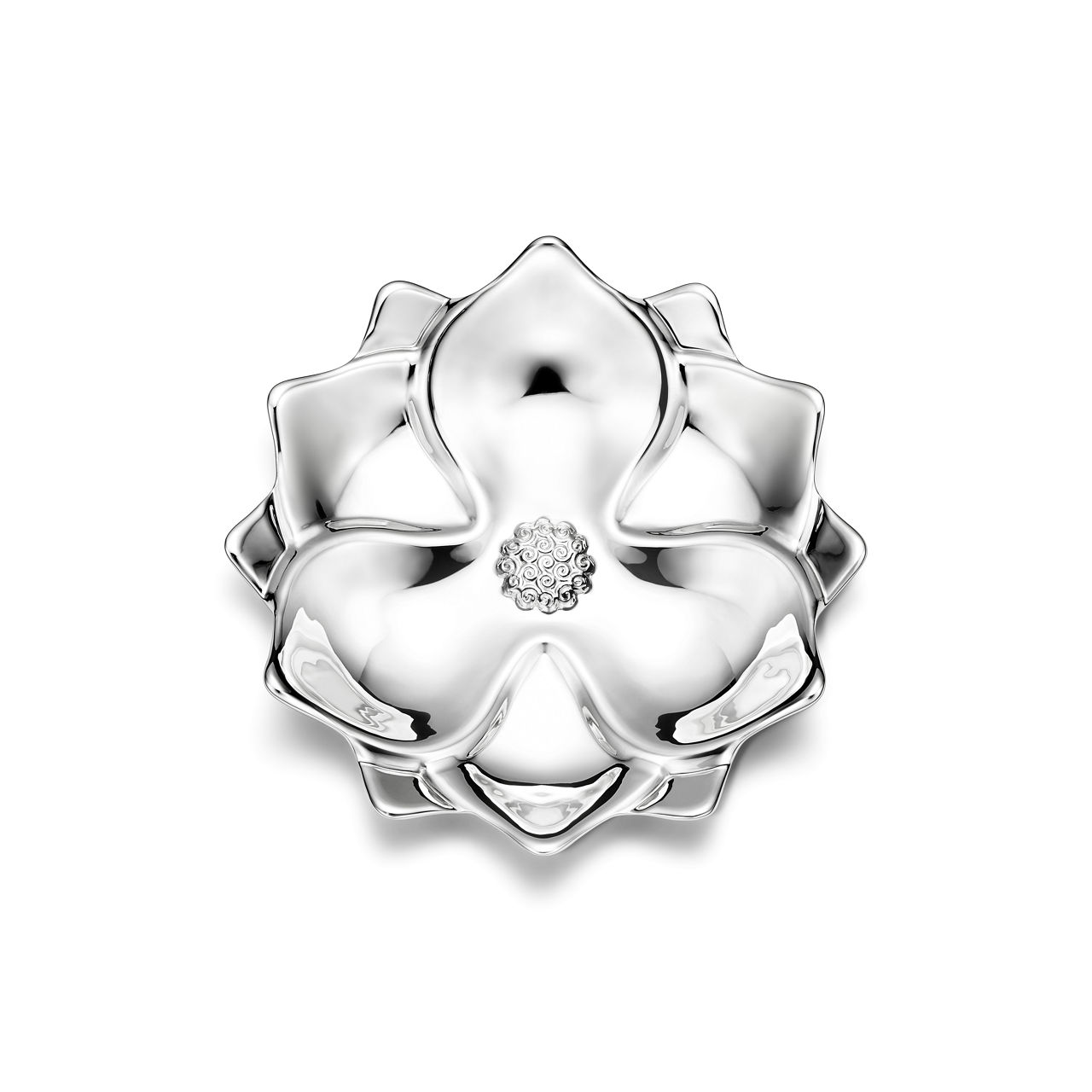 Magnolia
