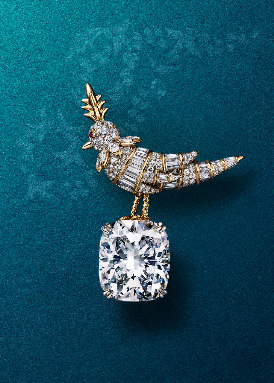 Bird on a Rock