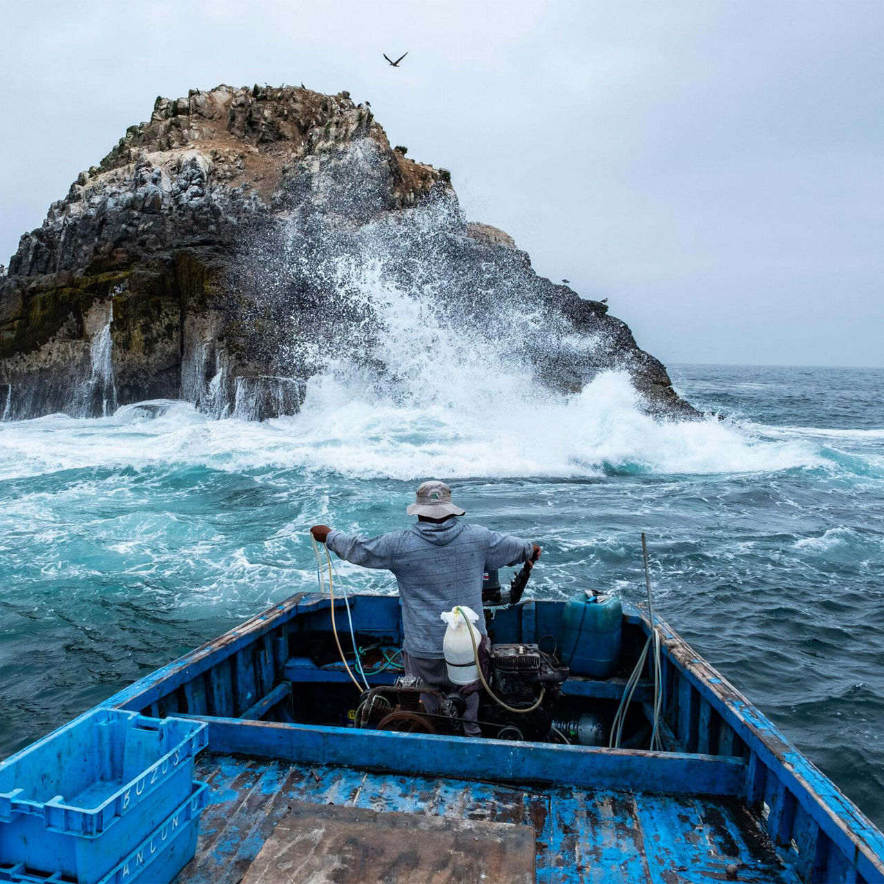 Supporting Ocean Conservation