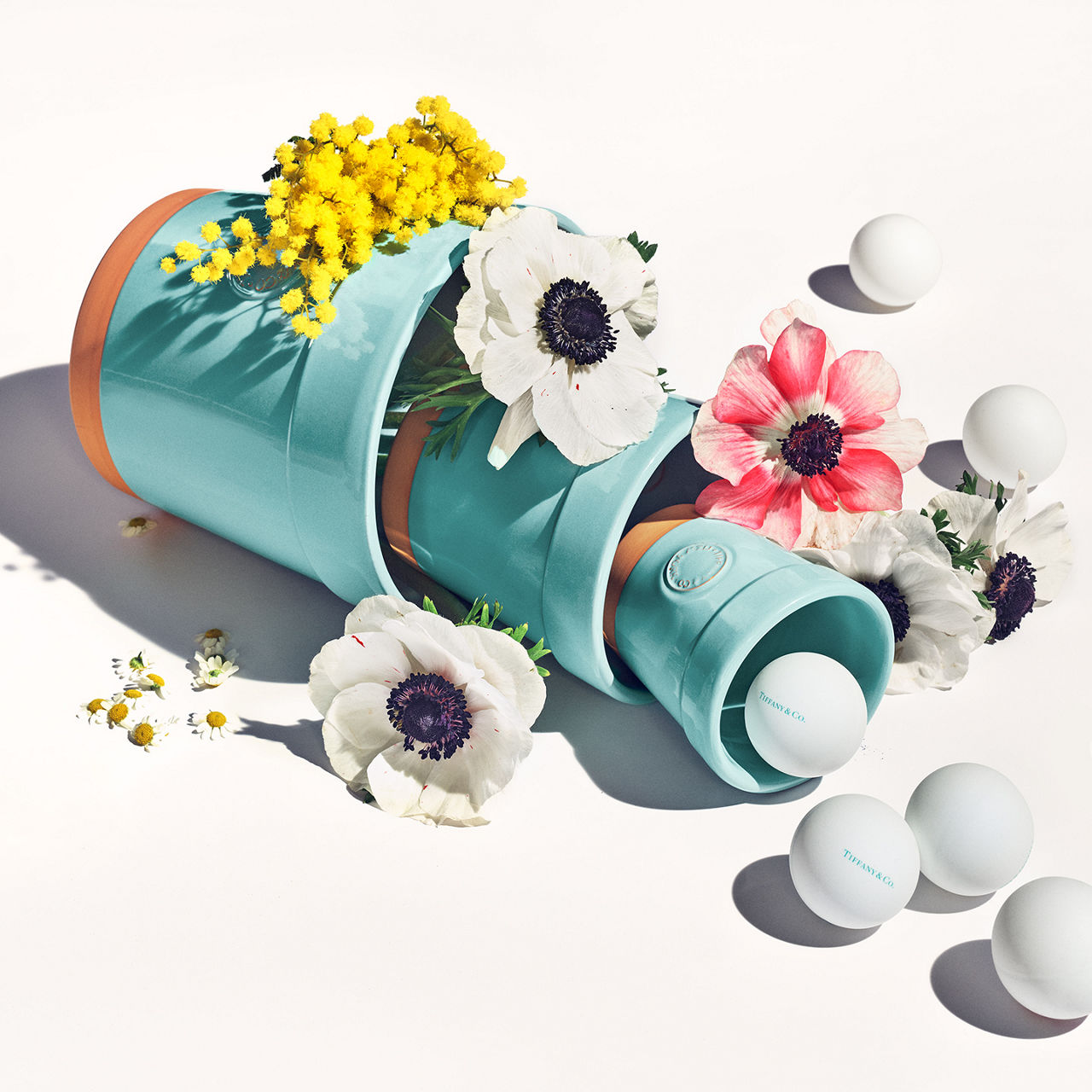 Shop Anjeya Everyday Objects Collection