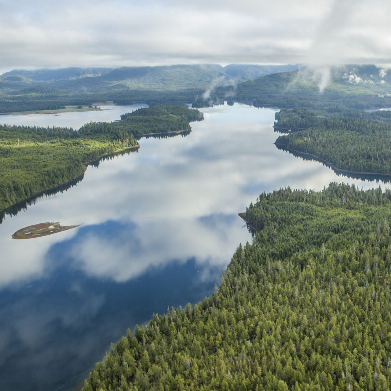 Corporate&nbsp;Conservation