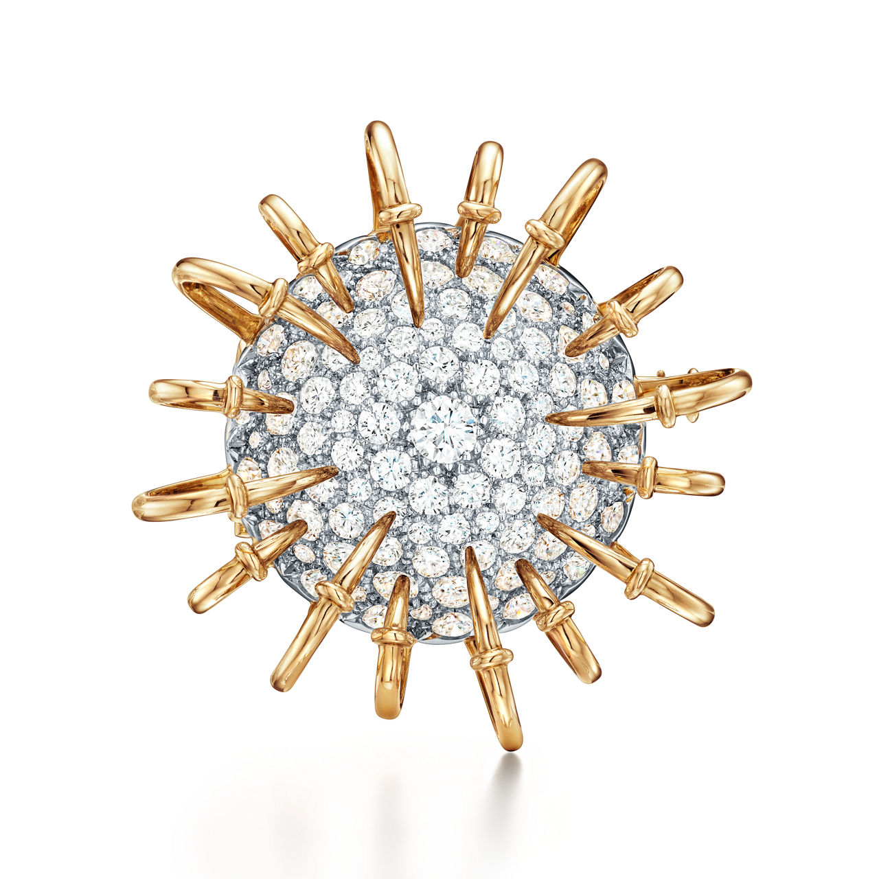 Brooch in Yellow Gold and Platinum with Diamonds