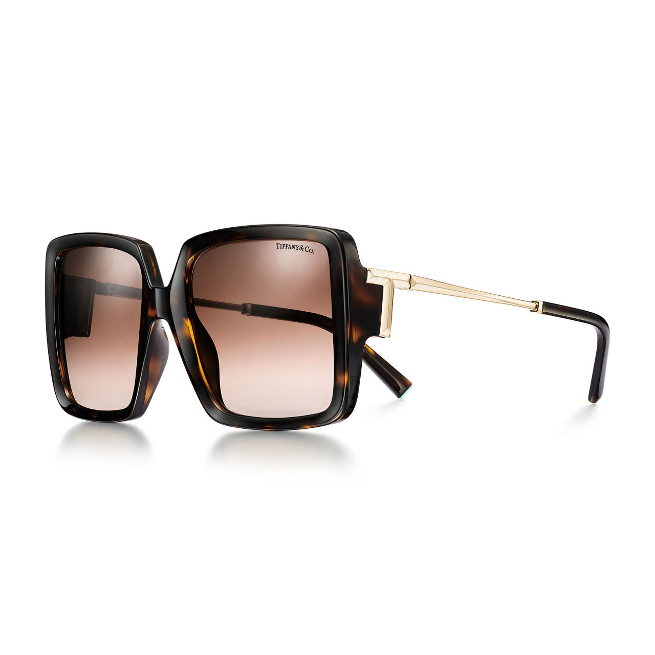 Sunglasses in Tortoise Acetate with Brown Gradient Lenses