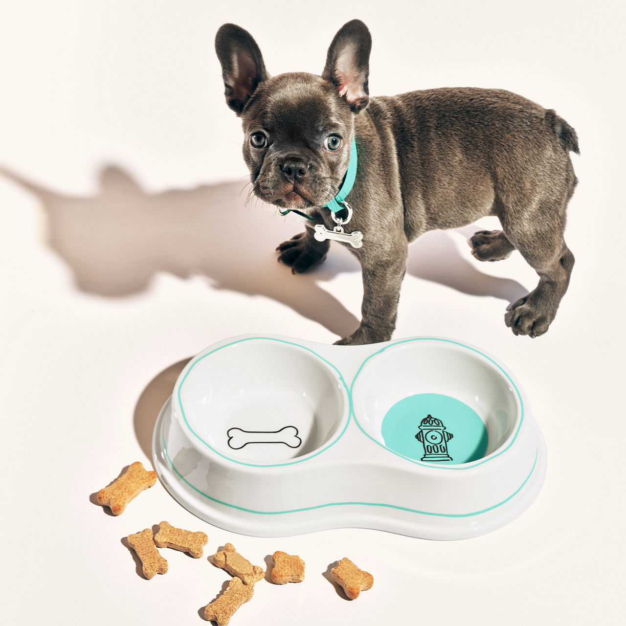 Shop Anjeya Pet Accessories