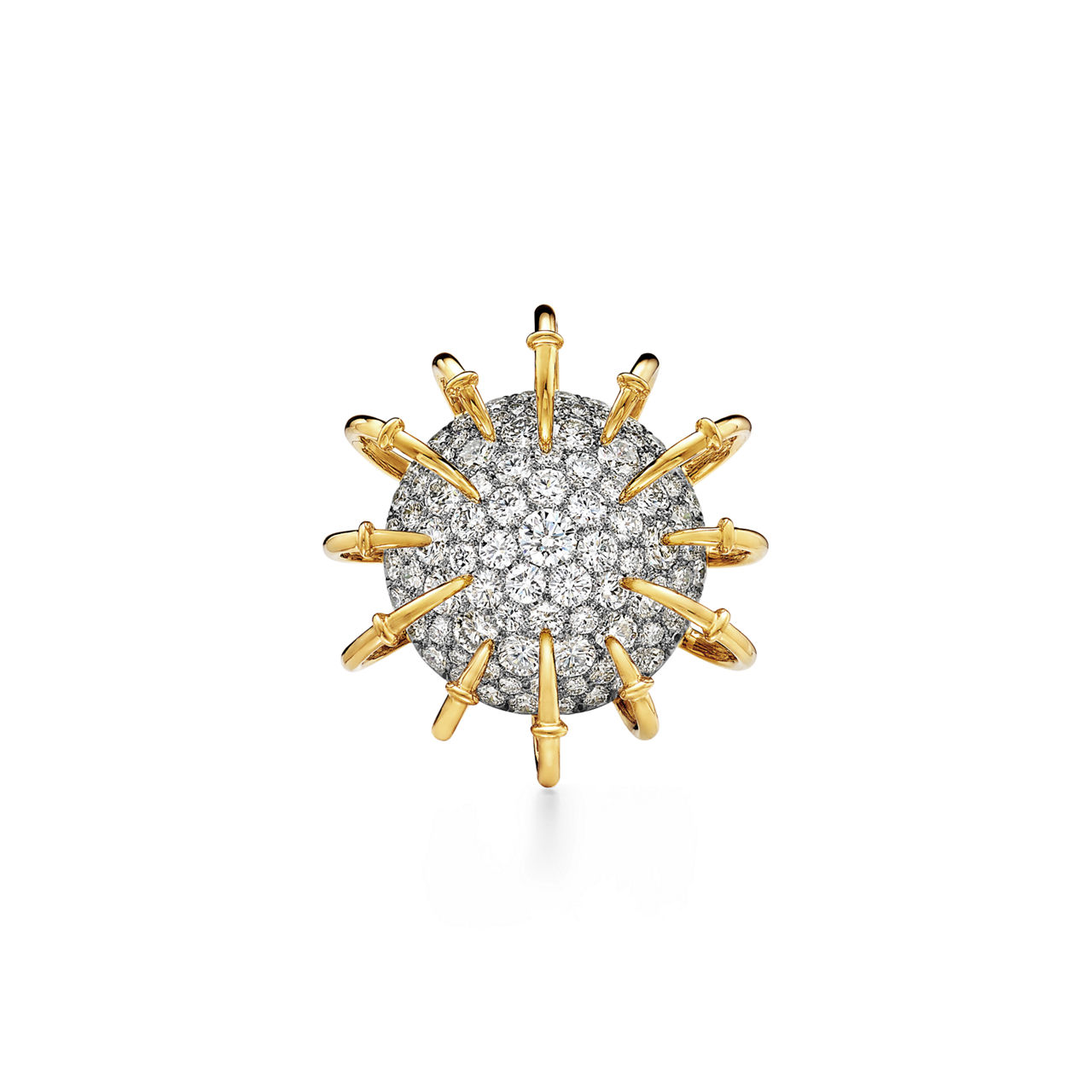 Brooch in Gold and Platinum with Diamonds